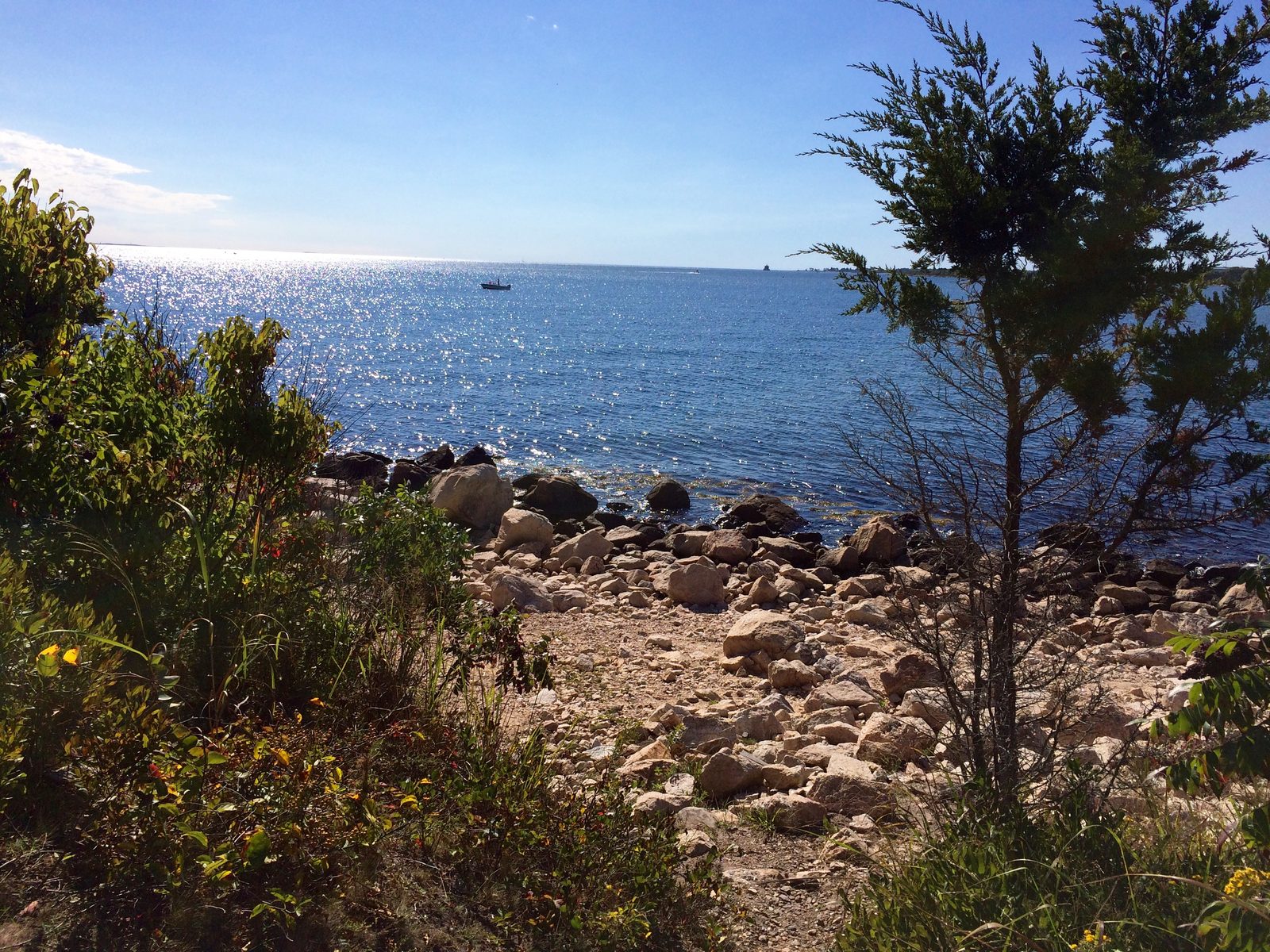 Bluff Point State Park