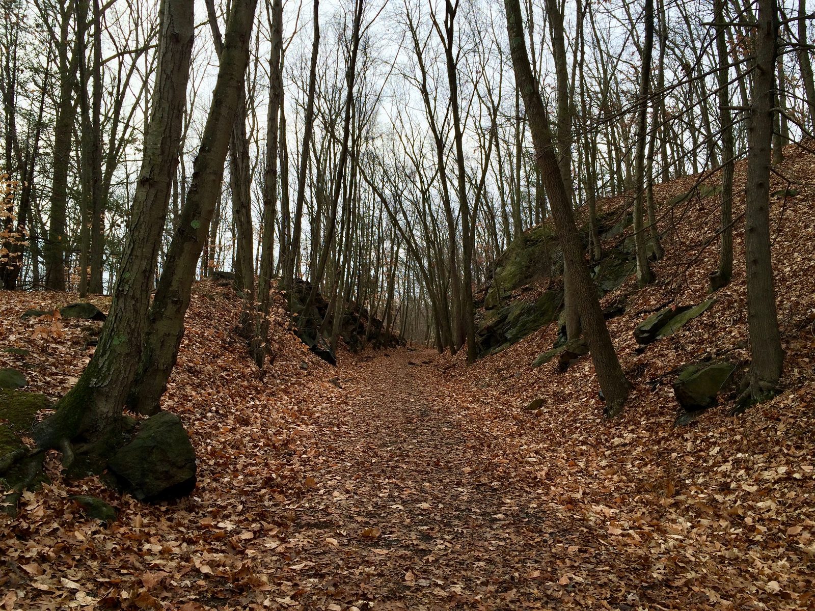 Whittemore Glen State Park