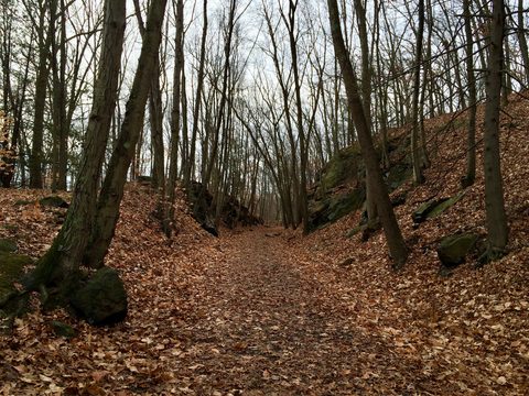 Whittemore Glen State Park