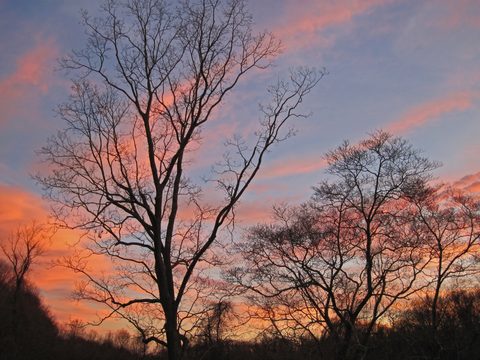 Sunset at Salt Meadow