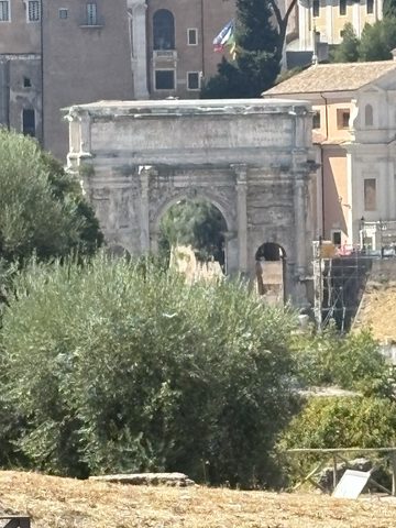 Across the Forum